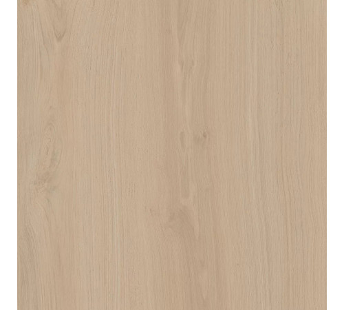 Керамогранит Альберони SG643420R Светло-бежевый матовый 60х60