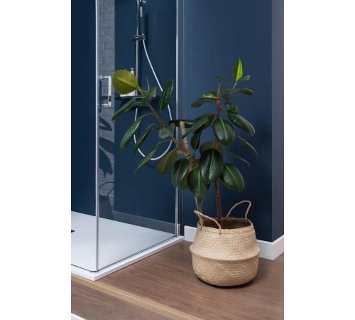 Душевая дверь Aquanet Cinetic AE12-N-80H190U-CT 800, прозрачное стекло