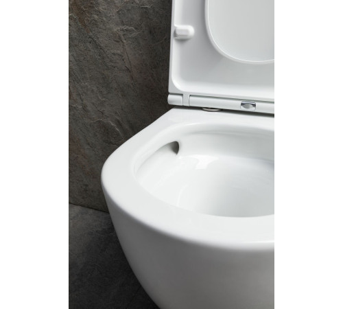 Чаша подвесного унитаза Allen Brau Priority Tornado 4.31008.20 белый глянец