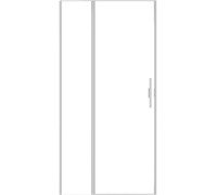 Душевая дверь Allen Brau Priority 100 3.31005.BA серебро браш