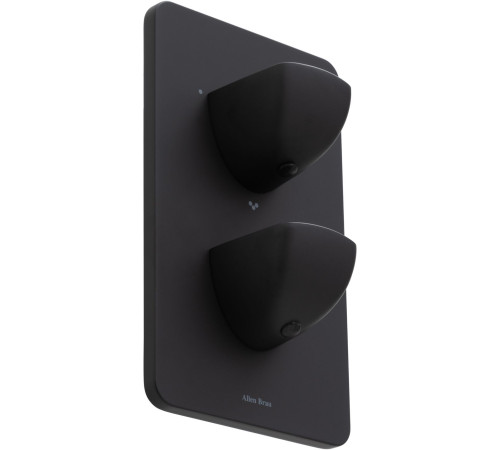 Смеситель для ванны Allen Brau Infinity 5.21316-31 (с внутренней частью, 3 выхода) черный матовый