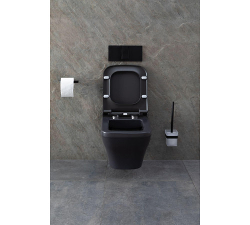 Чаша подвесного унитаза Allen Brau Infinity 4.21011.AN антрацит