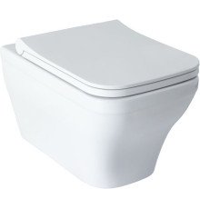 Чаша подвесного унитаза Allen Brau Infinity 4.21011.20 белый глянец