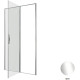 Душевая дверь Allen Brau Priority 120 3.31031.00 хром