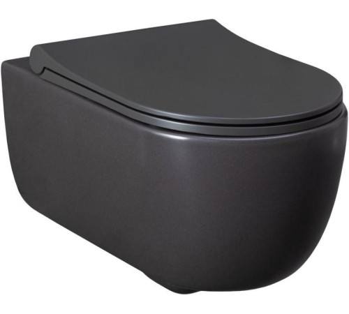 Чаша подвесного унитаза Allen Brau Priority 4.31001.AN антрацит