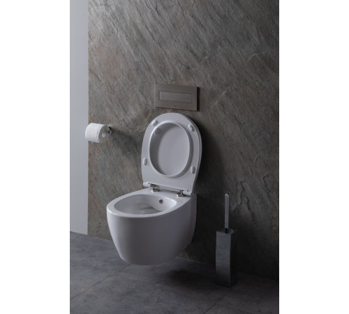 Крышка-сиденье для унитаза Allen Brau Fantasy Smartfix, Soft-Close 4.11005.20 белый глянец