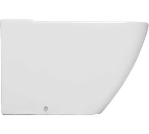 Чаша напольного унитаза Allen Brau Liberty 4.33013.20 белый