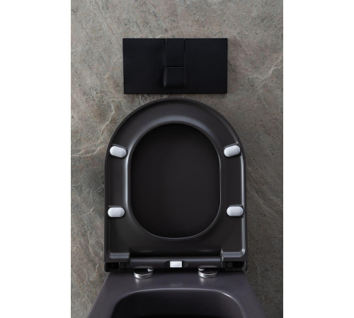 Чаша подвесного унитаза Allen Brau Priority 4.31002.AN антрацит