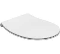 Сиденье для унитаза Allen Brau Fantasy 4.11005.21 белый матовый