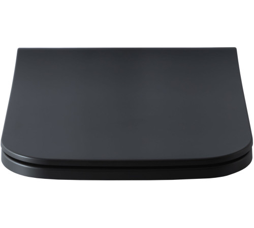 Крышка-сиденье для унитаза Allen Brau Infinity 4.21014.31 черный матовый