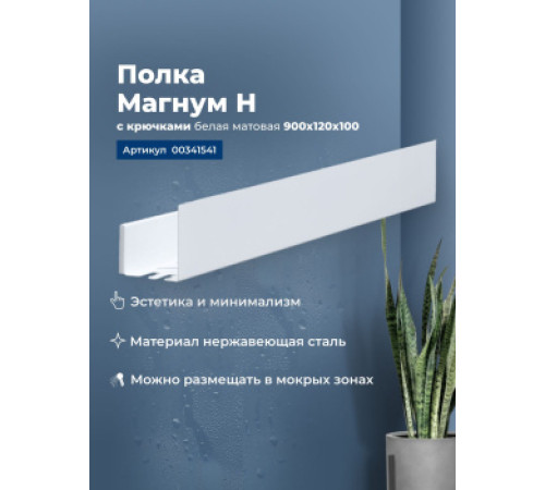 Полка Aquanet Магнум Н 90x12 белая матовая, с крючками