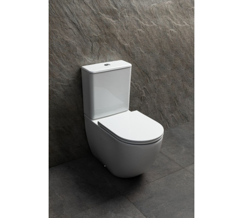 Чаша напольного унитаза Allen Brau Priority Tornado 4.31006.20 белый глянец