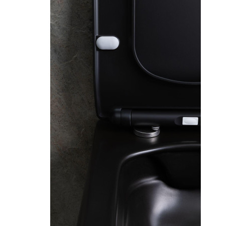 Чаша подвесного унитаза Allen Brau Liberty 4.33007.31 черный матовый