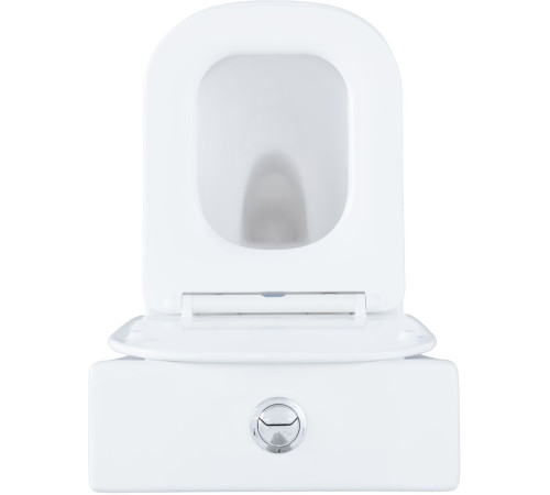 Чаша унитаза Aquanet Fine Rimless FINE-C Soft Close