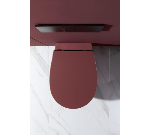 Чаша подвесного унитаза Allen Brau Fantasy 4.11004.BD бордо
