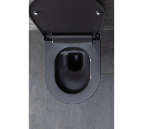 Чаша подвесного унитаза Allen Brau Priority 4.31001.AN антрацит