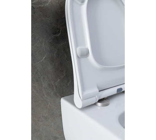 Чаша подвесного унитаза Allen Brau Priority 4.31001.20 белый глянец