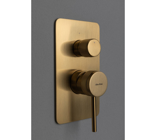 Смеситель для ванны Allen Brau Priority 5.31011-GB (с внутренней частью, 2 выхода) золото