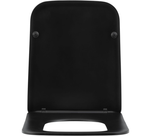 Унитаз подвесной Aquanet Rimless Tavr-W BL-103N-WHT black черный матовый