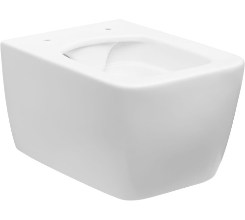 Чаша подвесного унитаза Allen Brau Liberty 4.33007.21 белый матовый