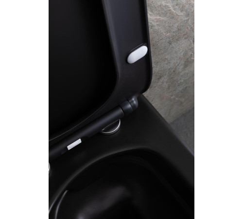 Чаша подвесного унитаза Allen Brau Liberty 4.33007.31 черный матовый