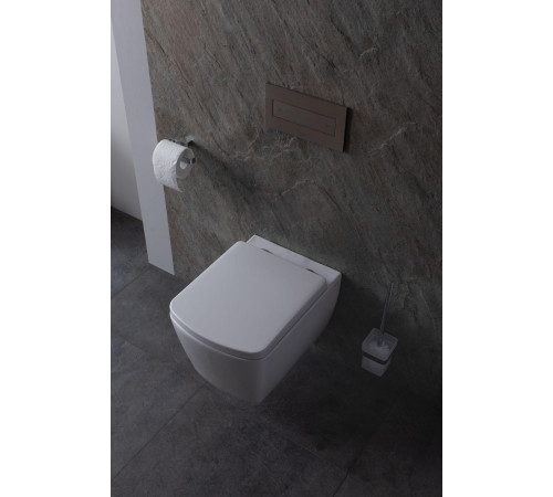 Крышка-сиденье для унитаза Allen Brau Liberty 4.33006.20 белый глянец