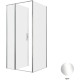 Душевой уголок Allen Brau Priority 100x90 3.31028.00 + 3.31043.00 хром