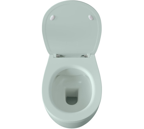 Чаша подвесного унитаза Allen Brau Fantasy 4.11004.MT мятный