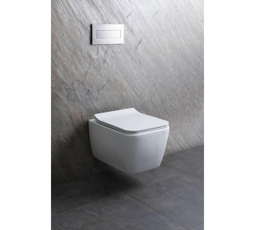 Чаша подвесного унитаза Allen Brau Liberty 4.33007.21 белый матовый