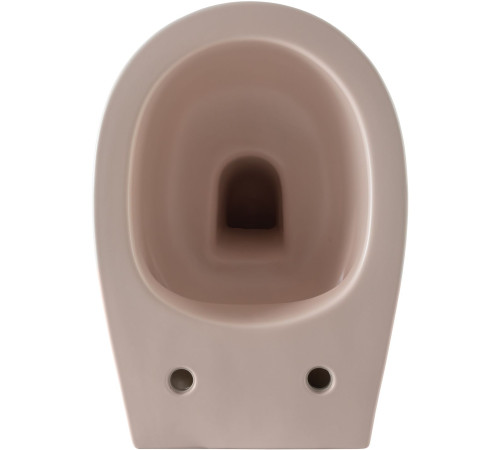 Чаша подвесного унитаза Allen Brau Fantasy 4.11004.SM розовый