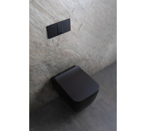 Чаша подвесного унитаза Allen Brau Liberty 4.33007.31 черный матовый