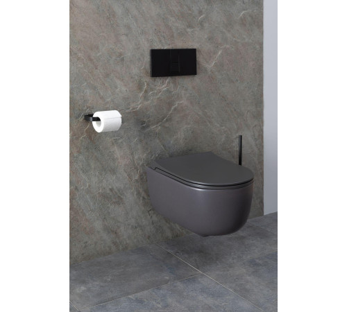Чаша подвесного унитаза Allen Brau Priority 4.31002.AN антрацит