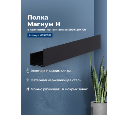 Полка Aquanet Магнум Н 50x12 черная матовая, с крючками