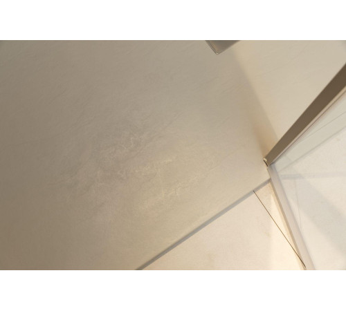 Душевая дверь Allen Brau Priority 120 3.31008.BA серебро браш