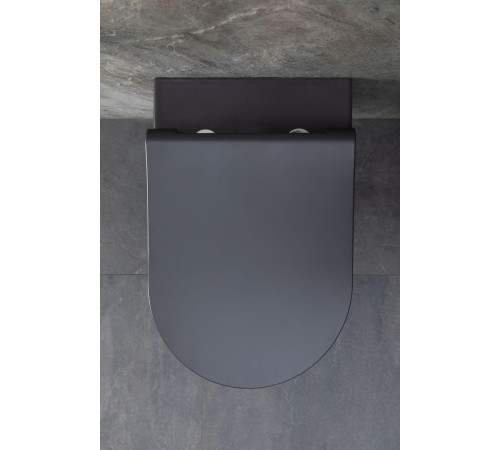 Чаша подвесного унитаза Allen Brau Priority 4.31001.AN антрацит