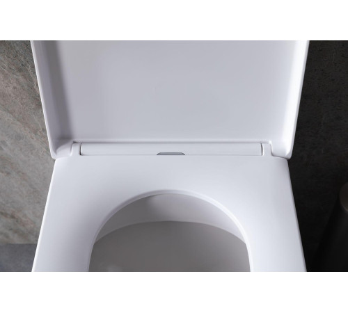 Чаша приставного унитаза Allen Brau Infinity 4.21003.20 белый глянец