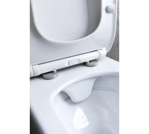 Чаша подвесного унитаза Allen Brau Liberty 4.33007.20 белый