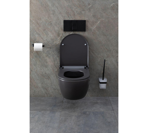 Чаша подвесного унитаза Allen Brau Priority 4.31001.AN антрацит