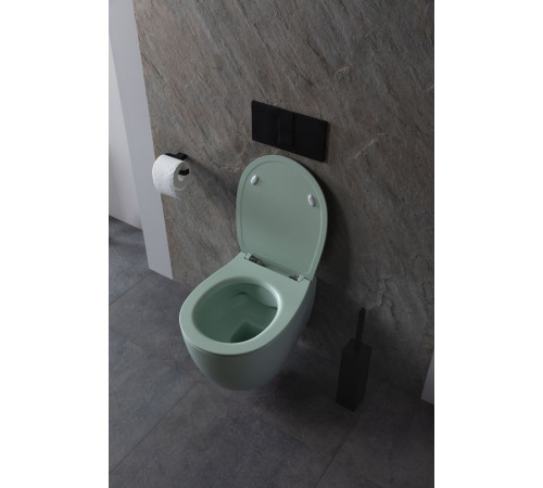 Чаша подвесного унитаза Allen Brau Fantasy 4.11004.MT мятный