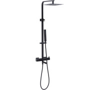 Душевая стойка Allen Brau Infinity 5.21029-31 черный матовый