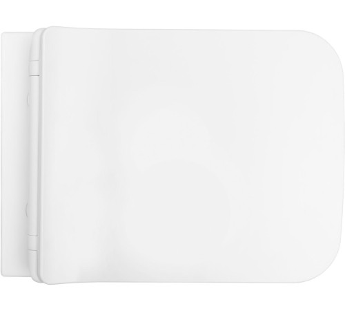 Чаша подвесного унитаза Allen Brau Liberty 4.33007.21 белый матовый