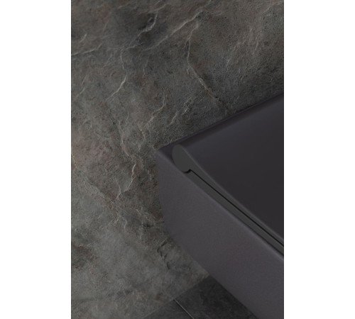 Чаша подвесного унитаза Allen Brau Priority 4.31002.AN антрацит