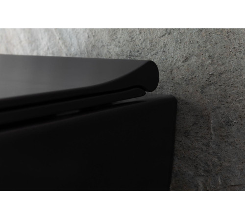 Чаша подвесного унитаза Allen Brau Priority 4.31002.31 черный матовый