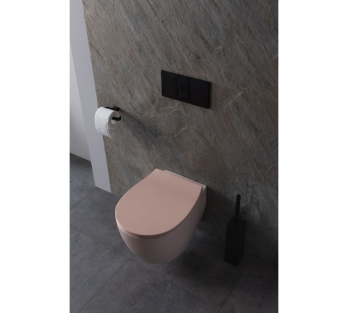 Чаша подвесного унитаза Allen Brau Fantasy 4.11004.SM розовый