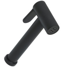 Гигиеническая лейка Allen Brau Priority 5.31028-31 черный матовый