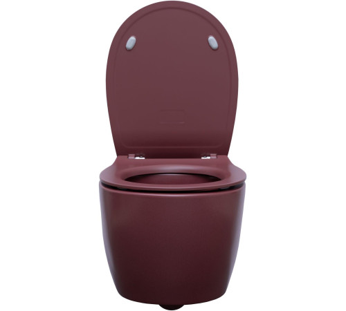 Чаша подвесного унитаза Allen Brau Fantasy 4.11004.BD бордо