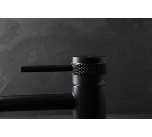 Смеситель для раковины Allen Brau Priority 5.31A01-31 черный матовый