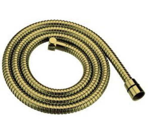 Шланг для душа Allen Brau Priority 5.31022-GB золото