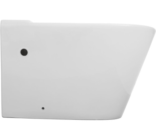 Чаша напольного унитаза Aquanet Atago 3.0 Tornado