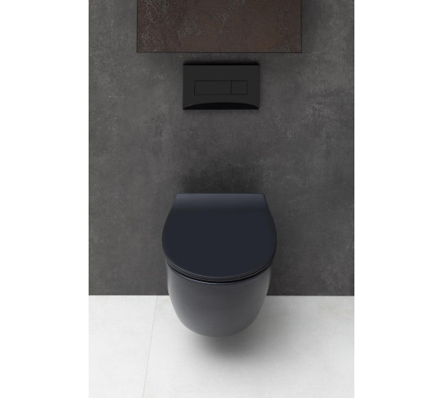 Чаша подвесного унитаза Allen Brau Fantasy 4.11004.31 черный матовый